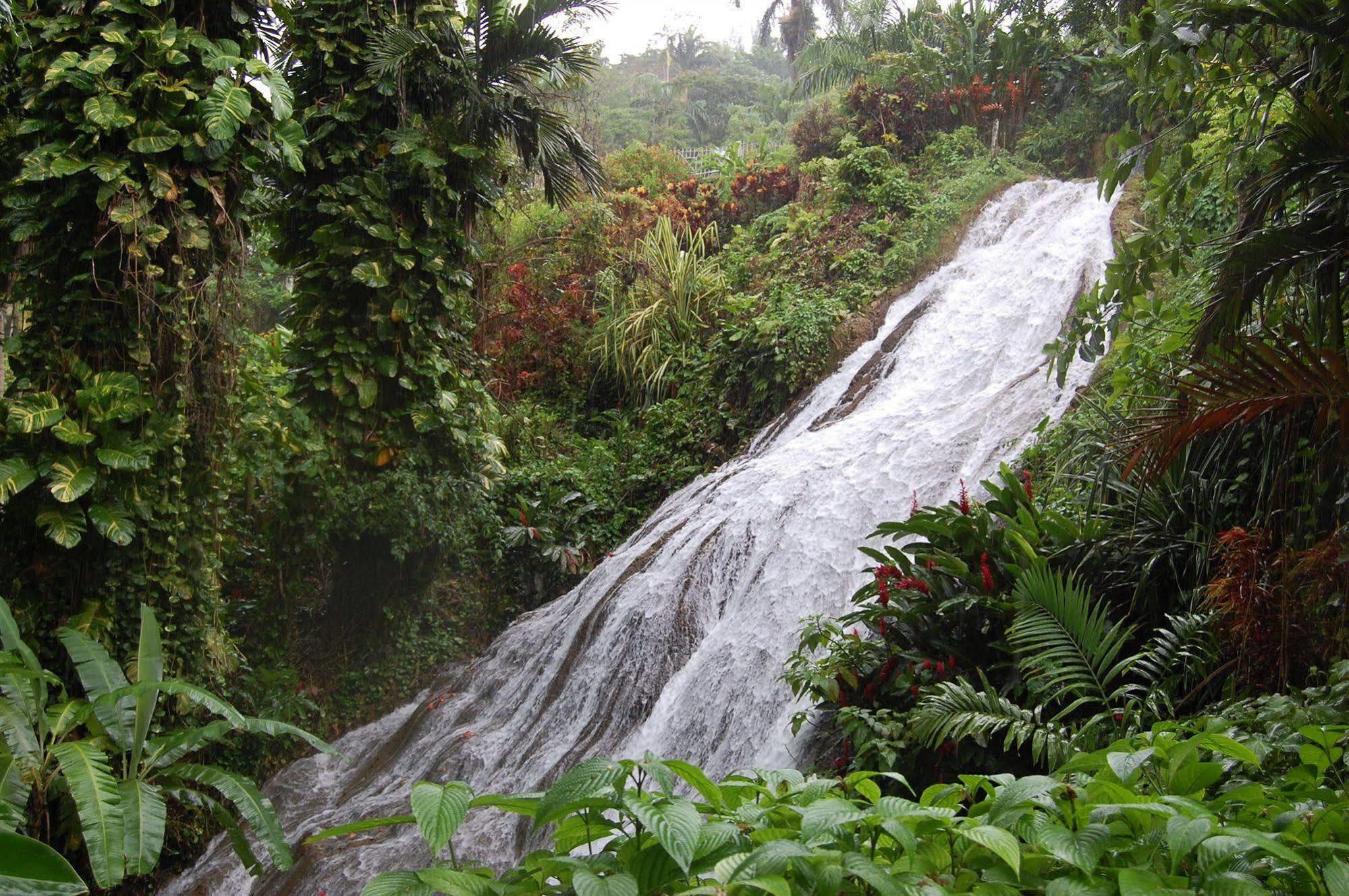 Inn At Shaw Park Gardens & Waterfalls โอโชรีโอส ภายนอก รูปภาพ